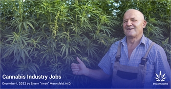 Cannabis Industry Jobs