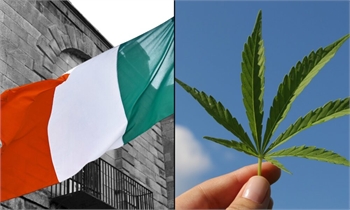 Ireland’s Government Proposes Nine-Month Delay On Marijuana Legalization Bill Vote, Calling For Spec