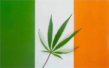 Ireland’s First Cannabis Clinic Opens Four Years After Medical Program Launches