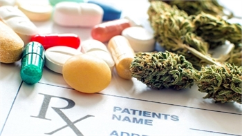 The regulation of medicinal cannabis, an increasingly closer reality in Spain
