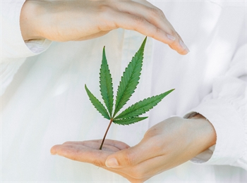 Medical cannabis and obsessive-compulsive disorder – what you need to know