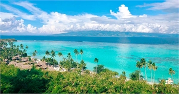 French Polynesia repeals its law on therapeutic cannabis